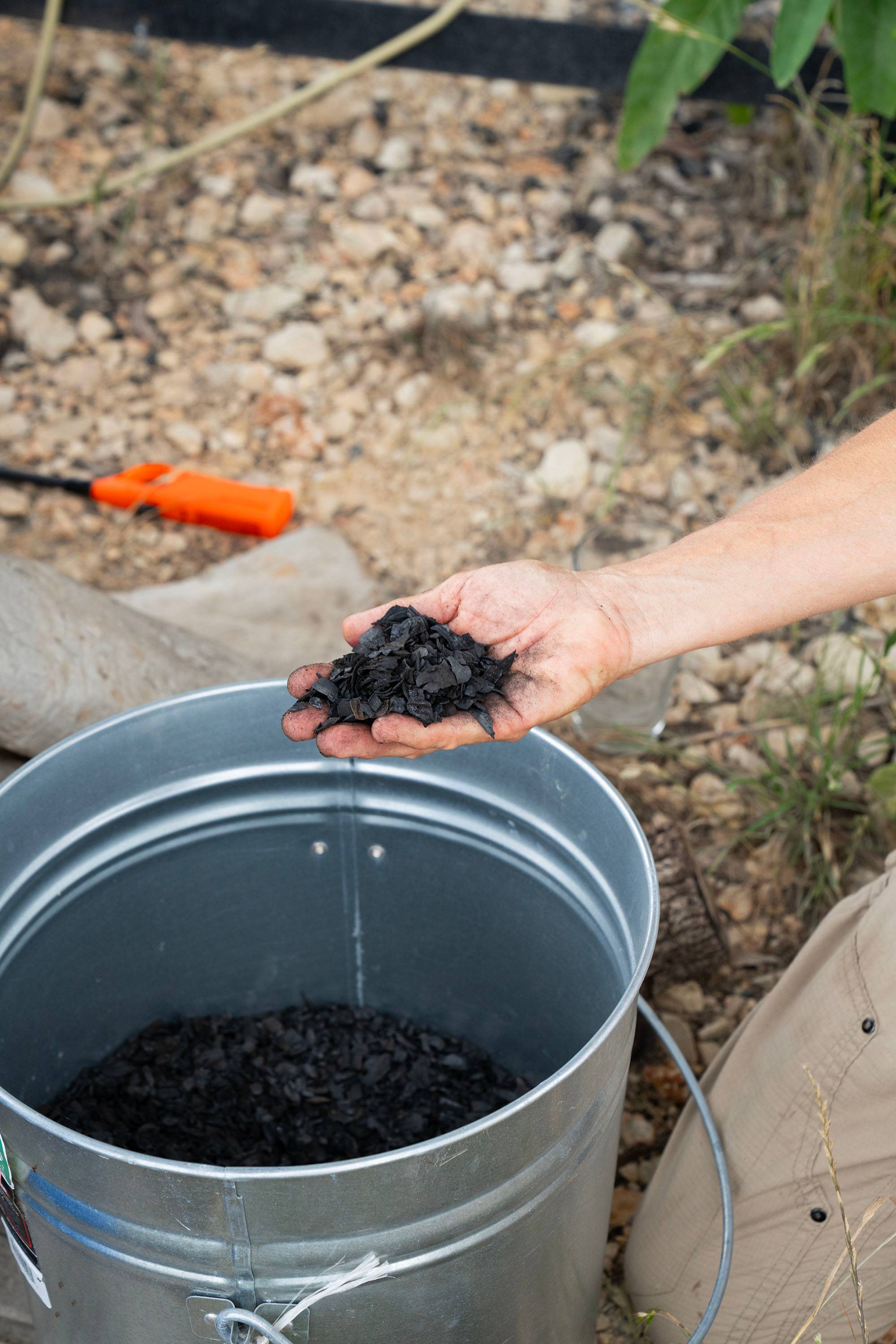 A hand holding a pile of biochar over a bucket. The biochar looks like black pieces of burnt wood.