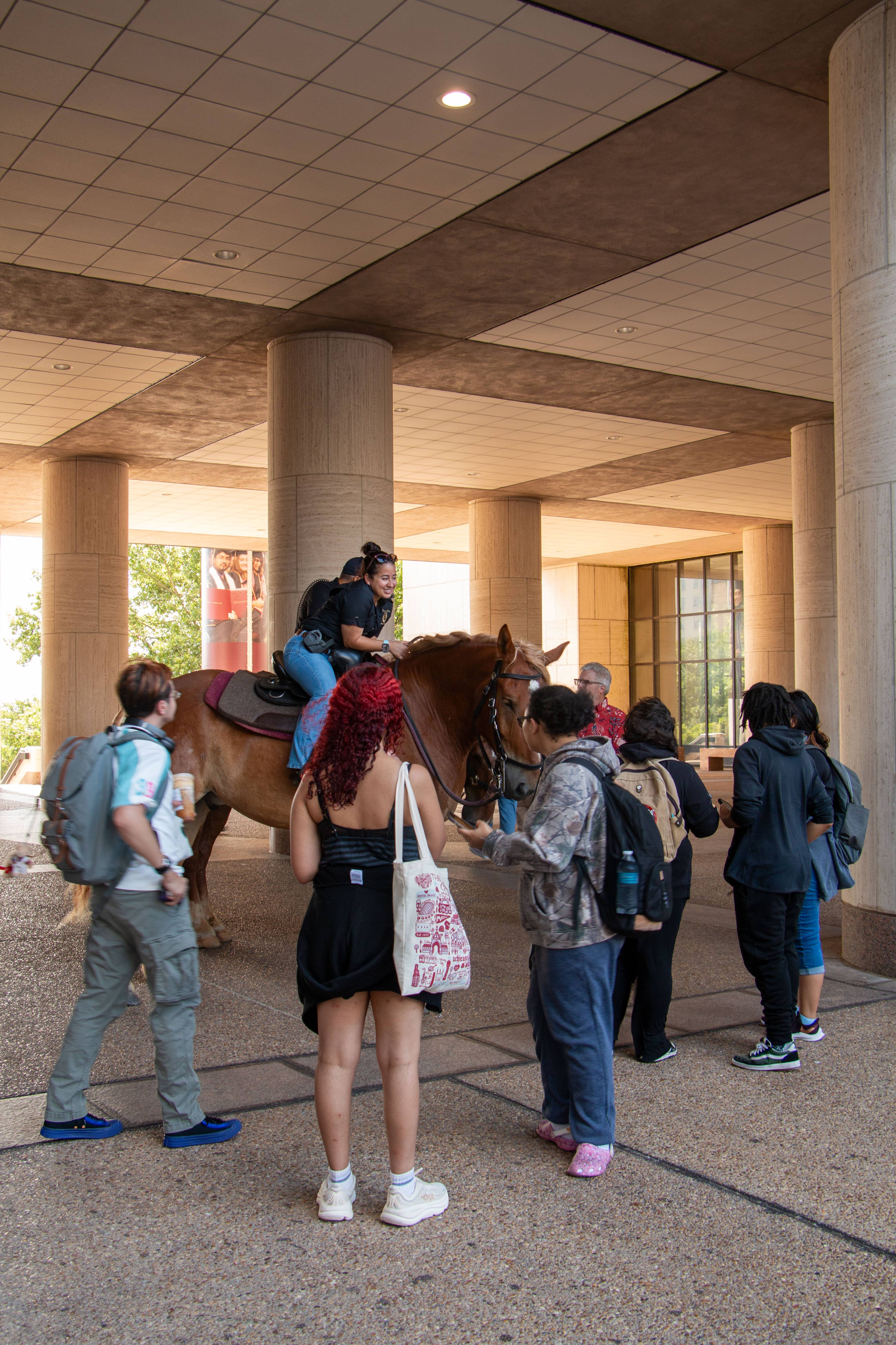 Two police officers on horses, surrounded by students