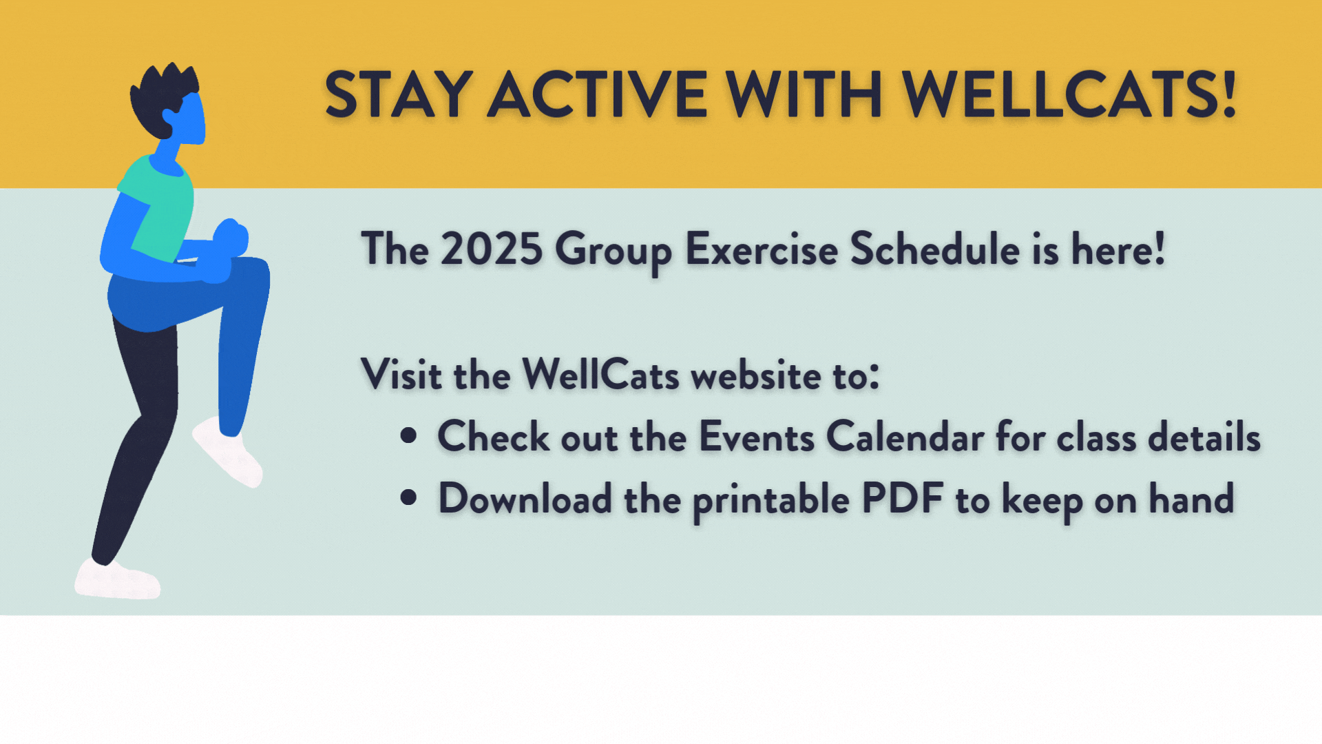 wellcats group exercise
