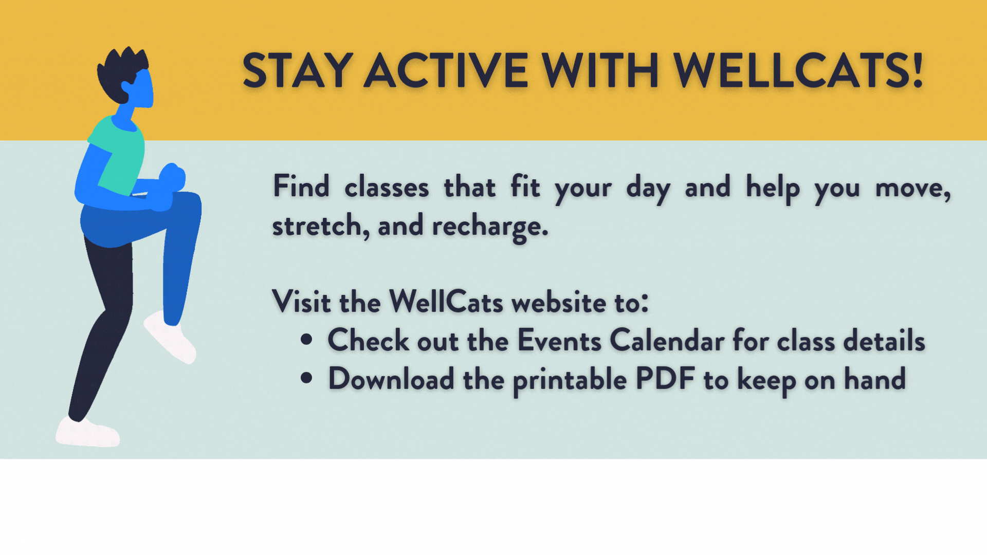 wellcats group exercise