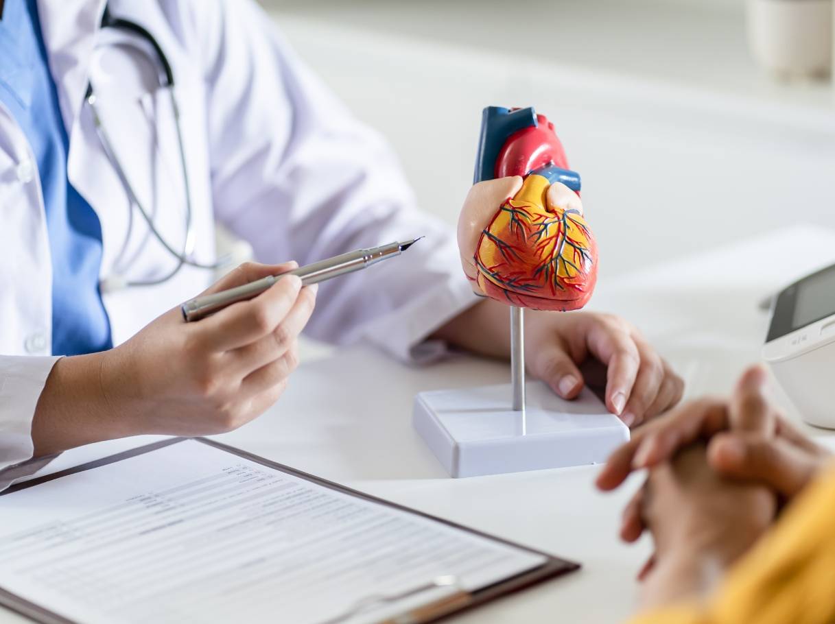 Doctor pointing at a model heart while talking to patient