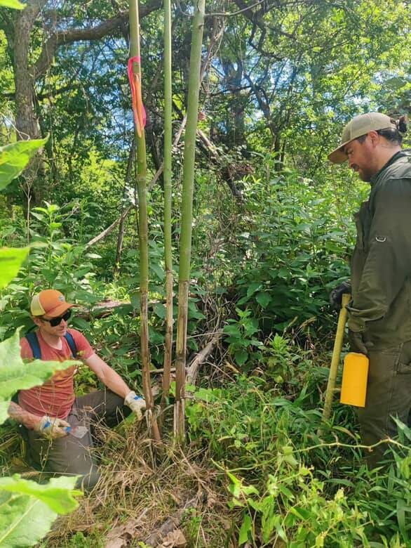 two men in forested area