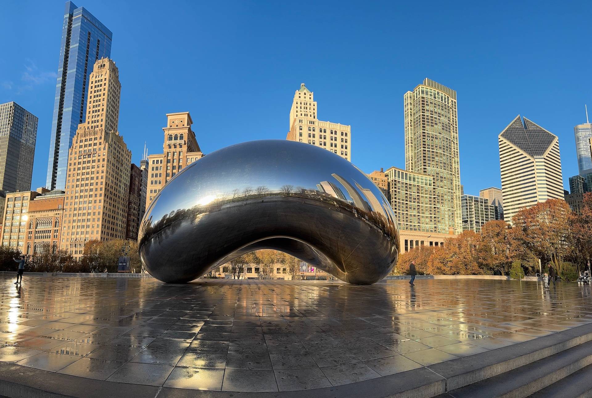 Chicago bean