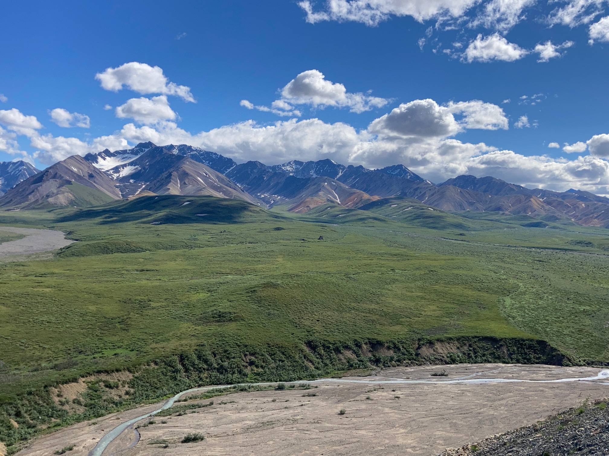 Denali landscape