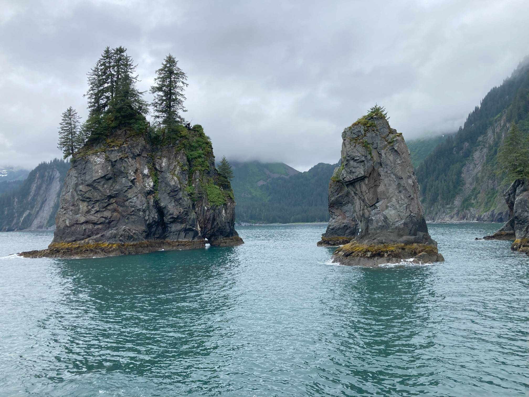 Resurrection Bay