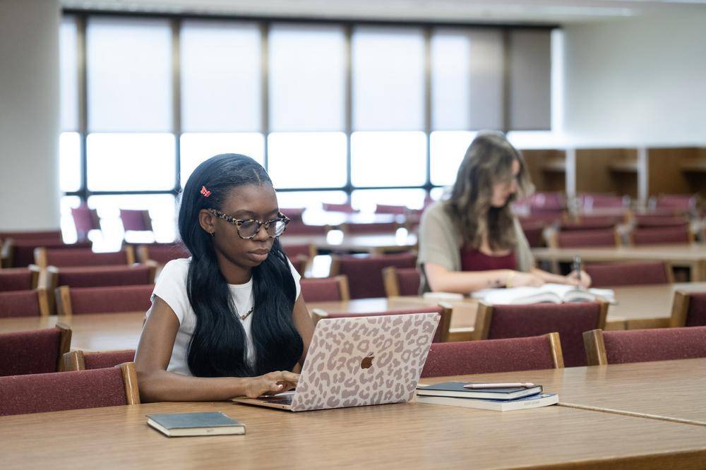 students on computers in the library