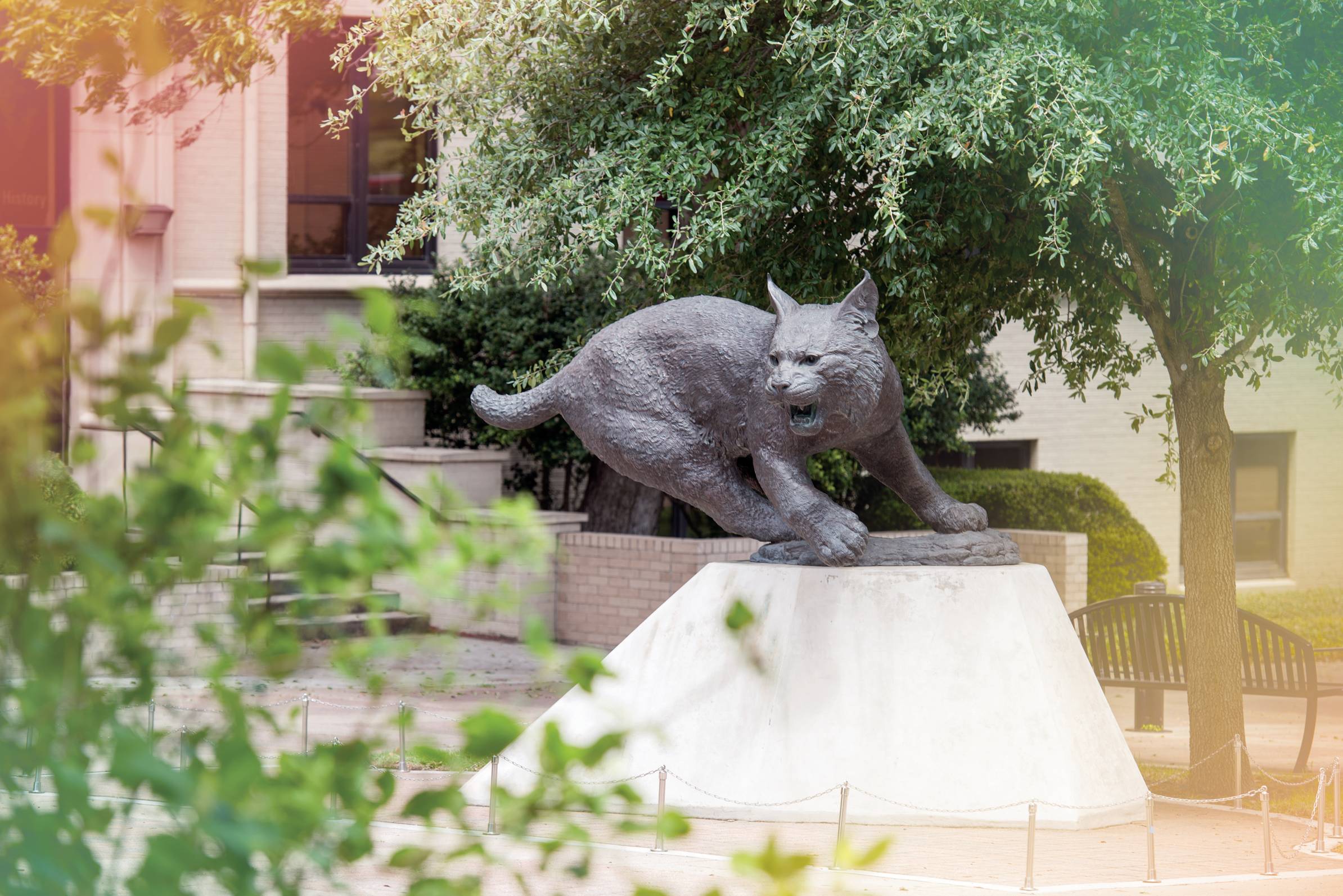 bobcat statue glow