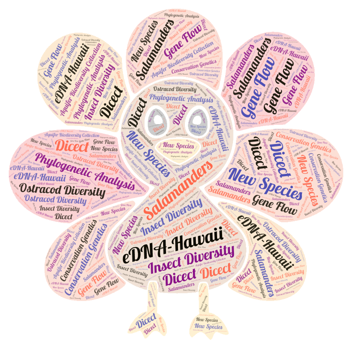 tgif word cloud