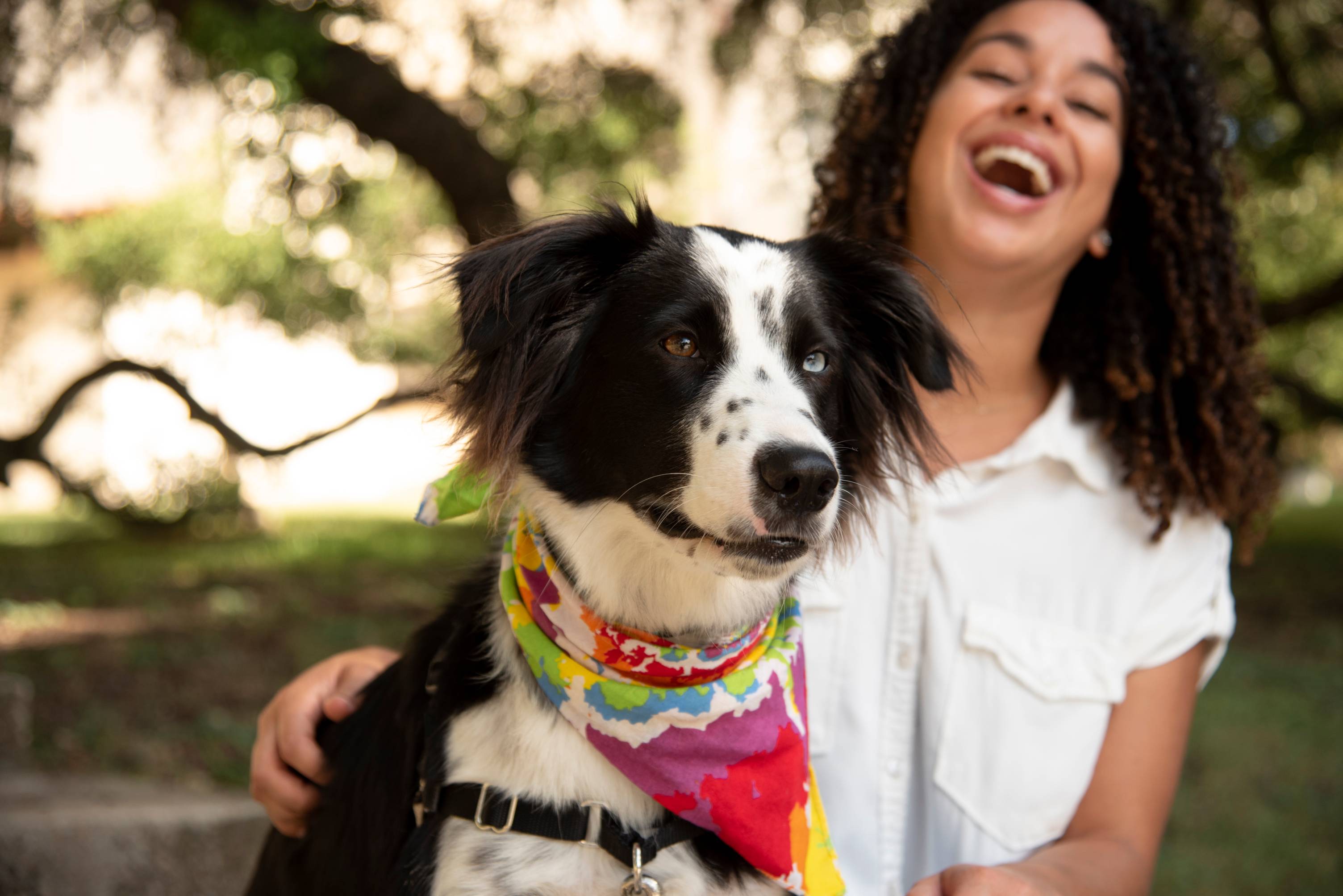 Learn More About the AAC Academy!