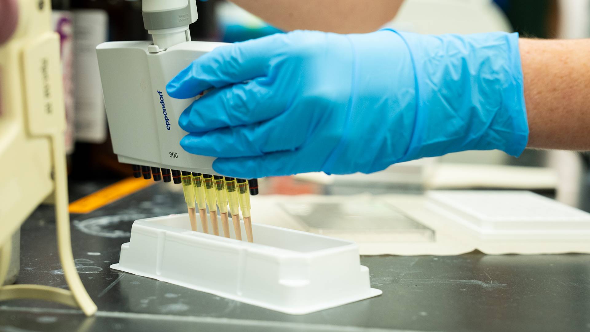 a scientist using a test tube