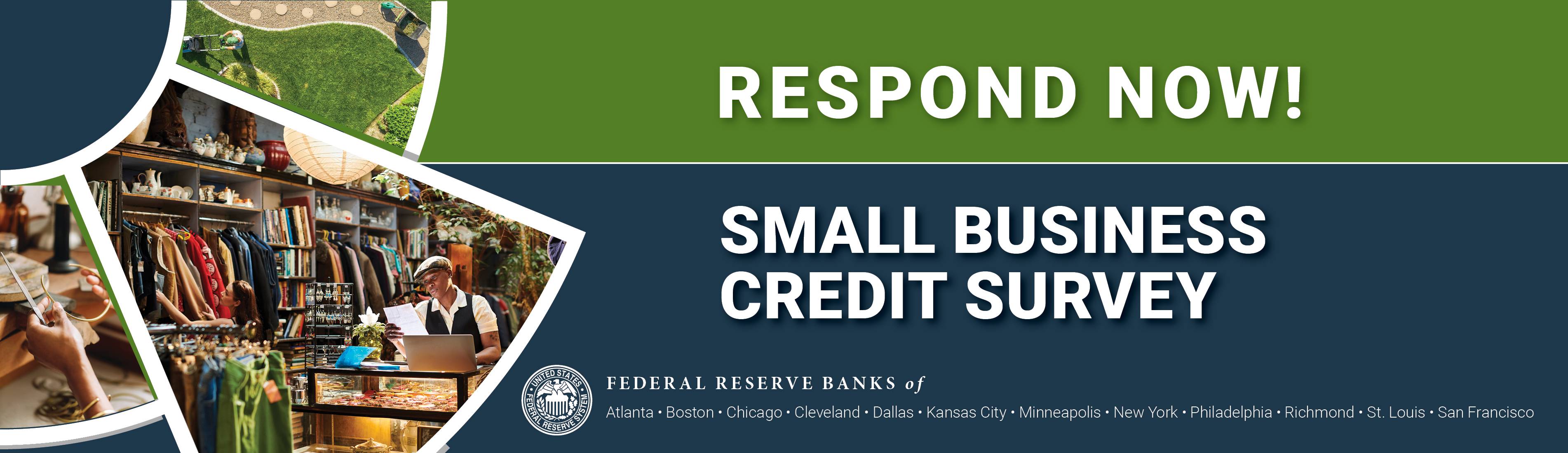 2025 Small Business Credit Survey