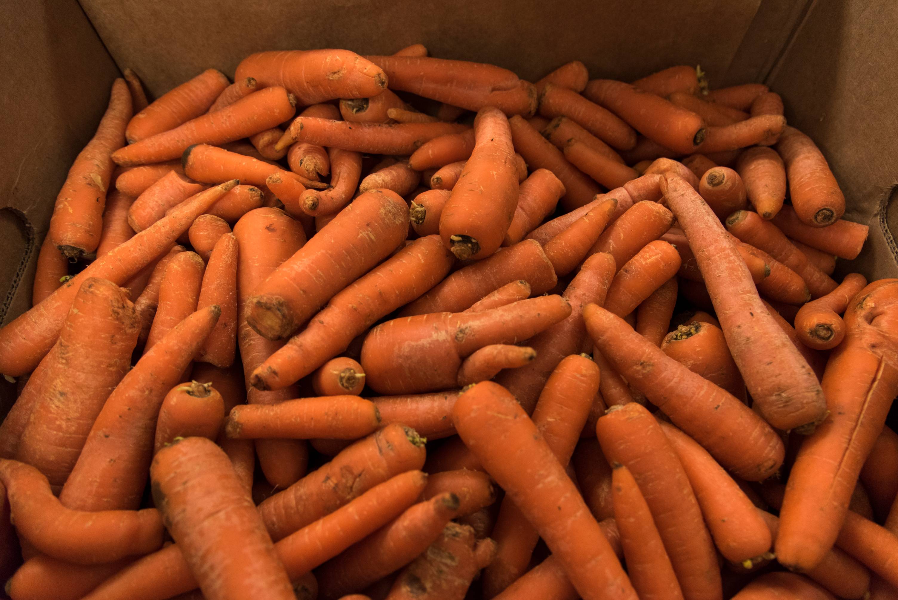 Box of Carrots