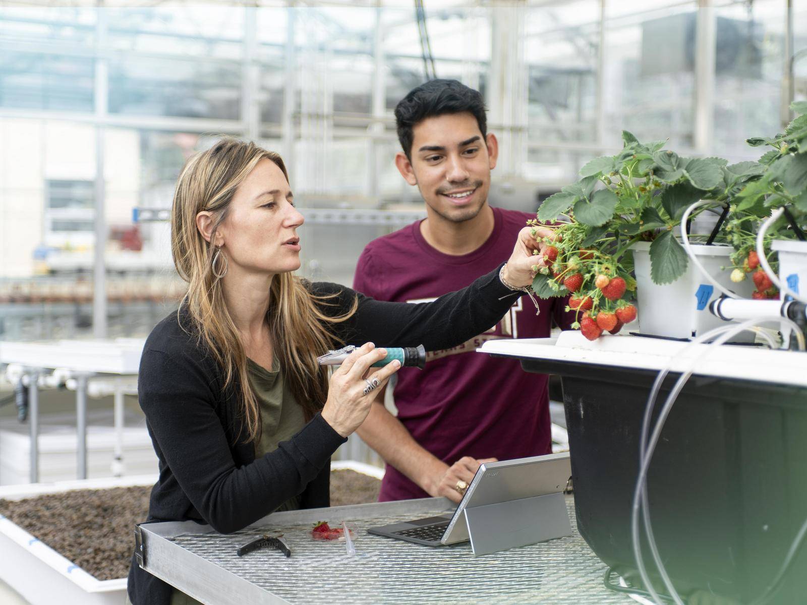 A teacher and a student discuss a plant in the Texas State greenhouse.