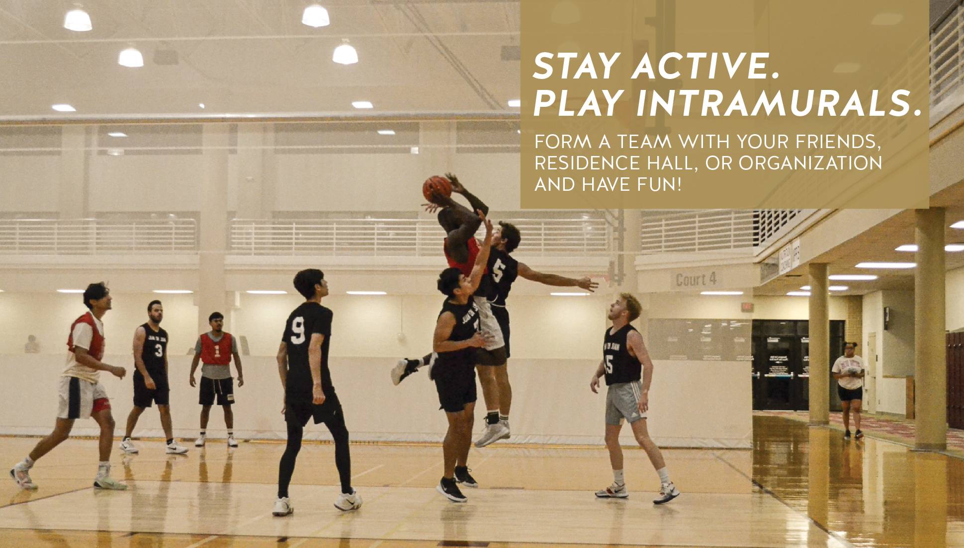 Image with Intramural Sports information