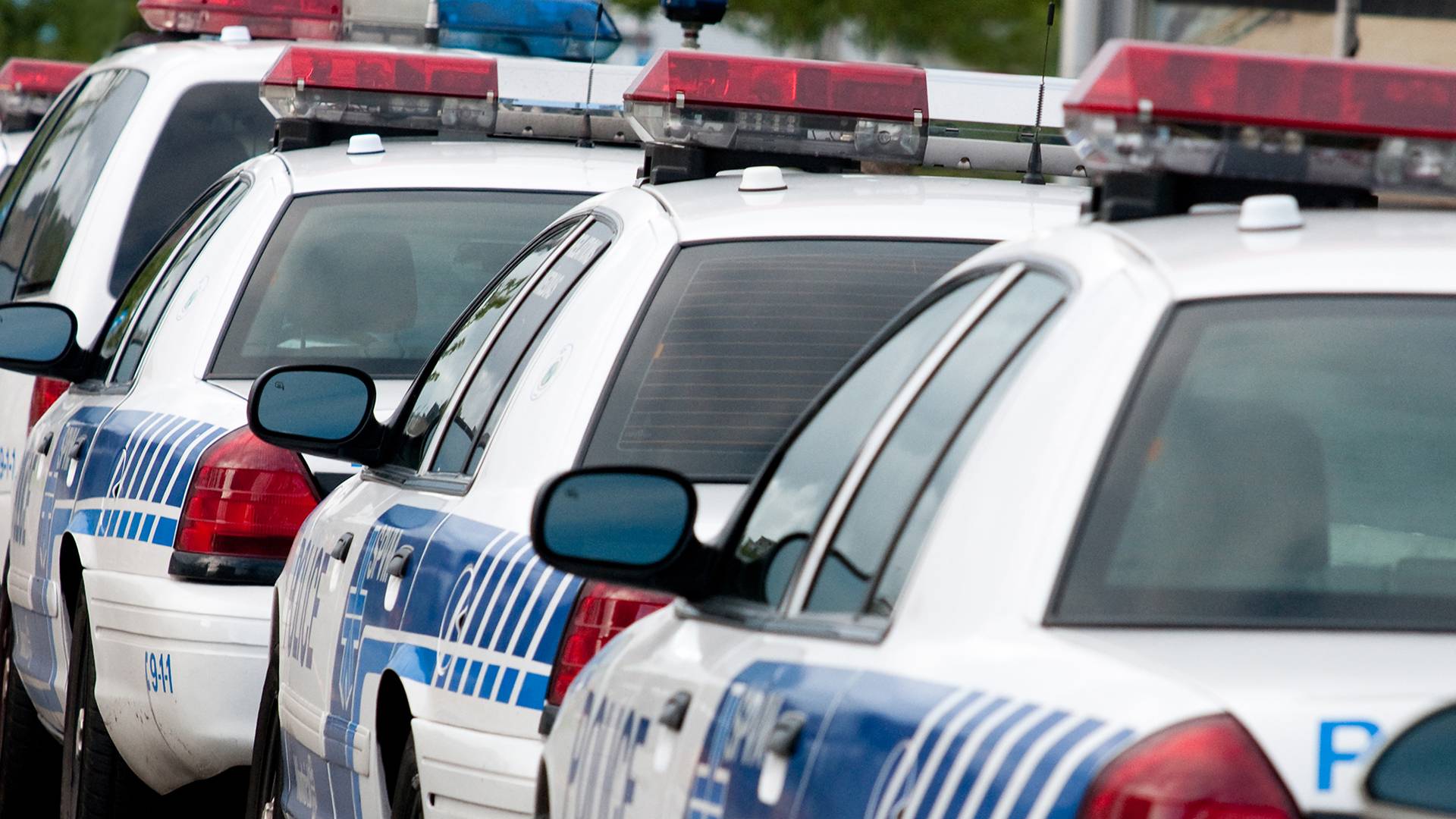 police cars parked on a street