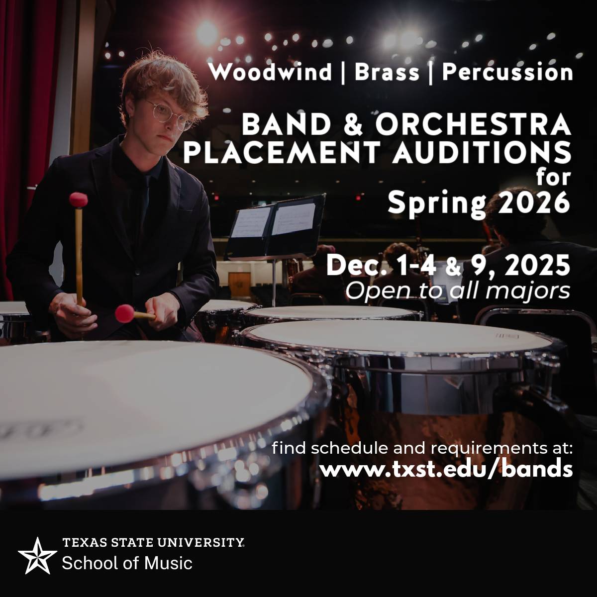 Image of a musician playing timpani at a concert