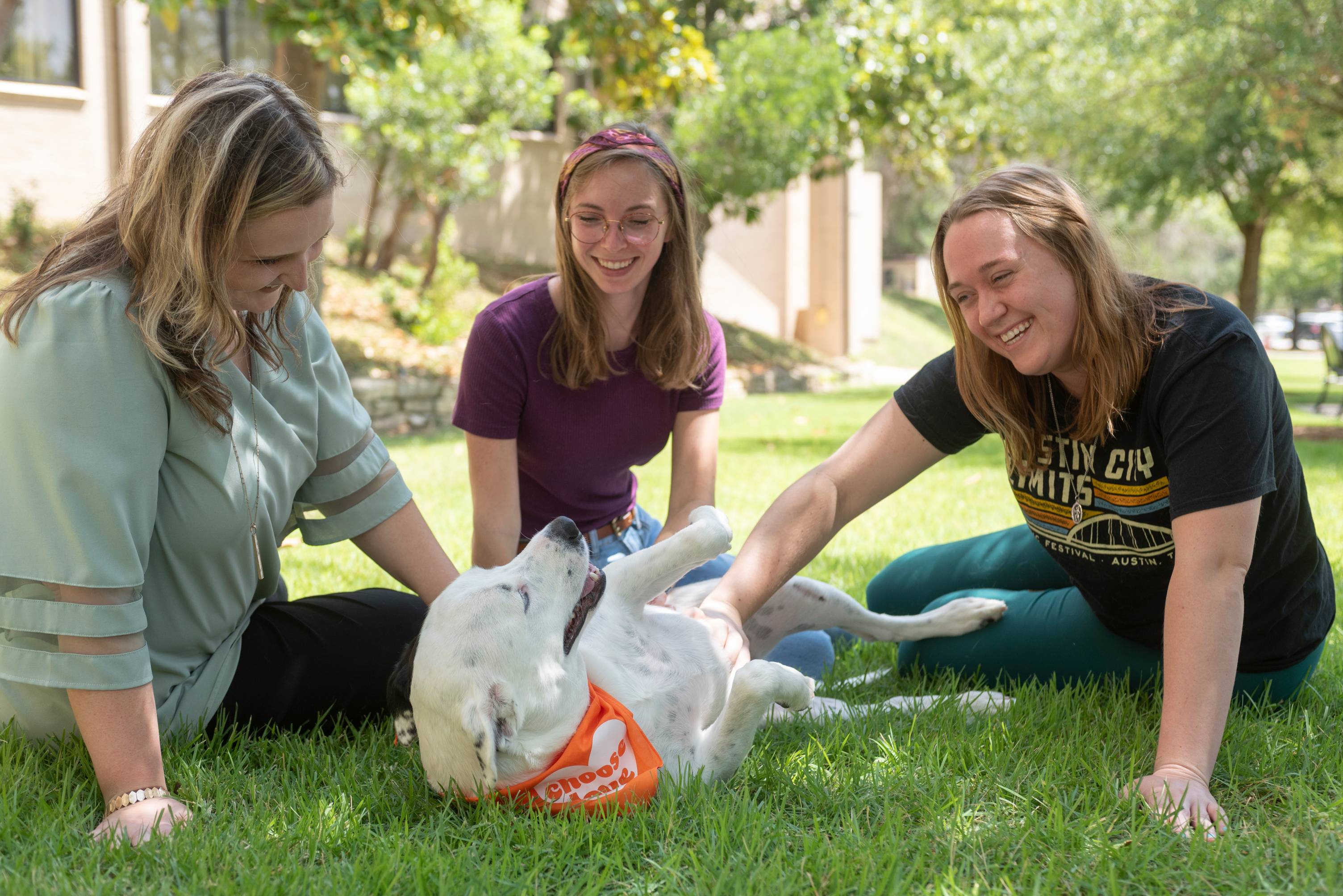 Luna getting belly rubs