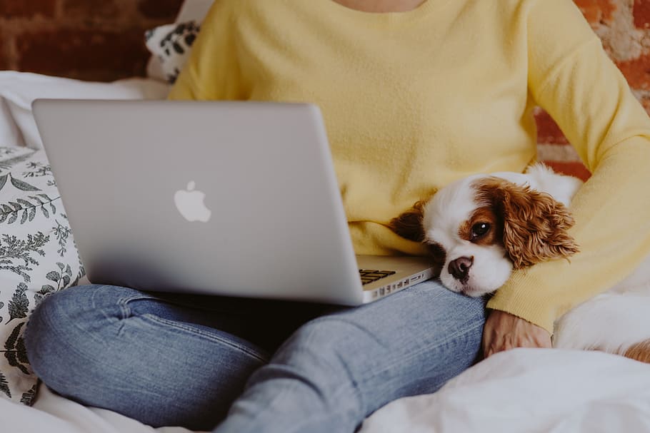 person with laptop and dog