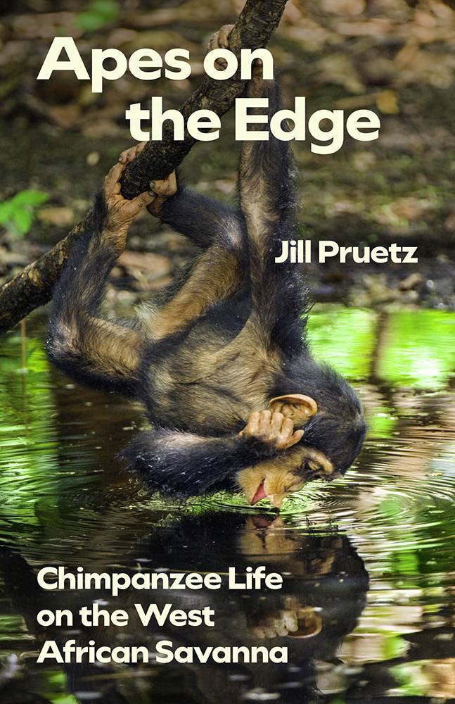 Apes on the Edge, book cover