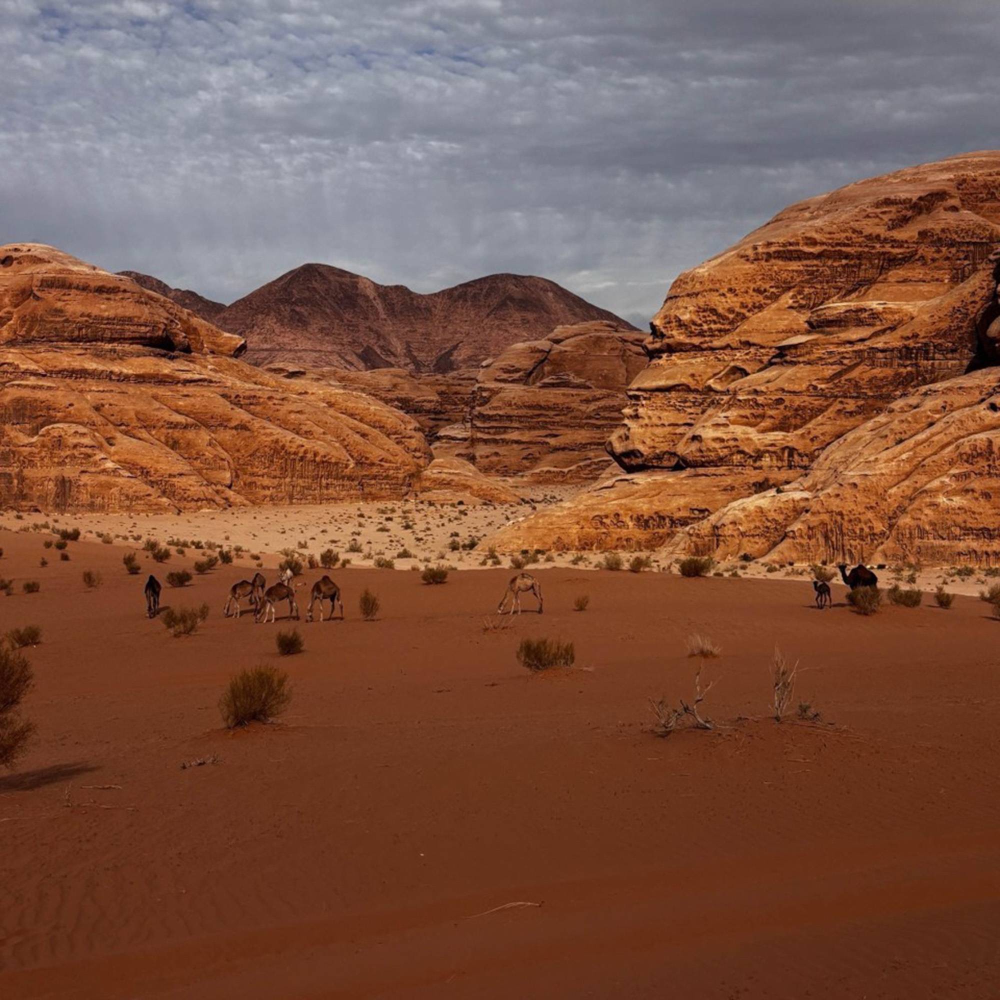 Wadi Rum, Jordan