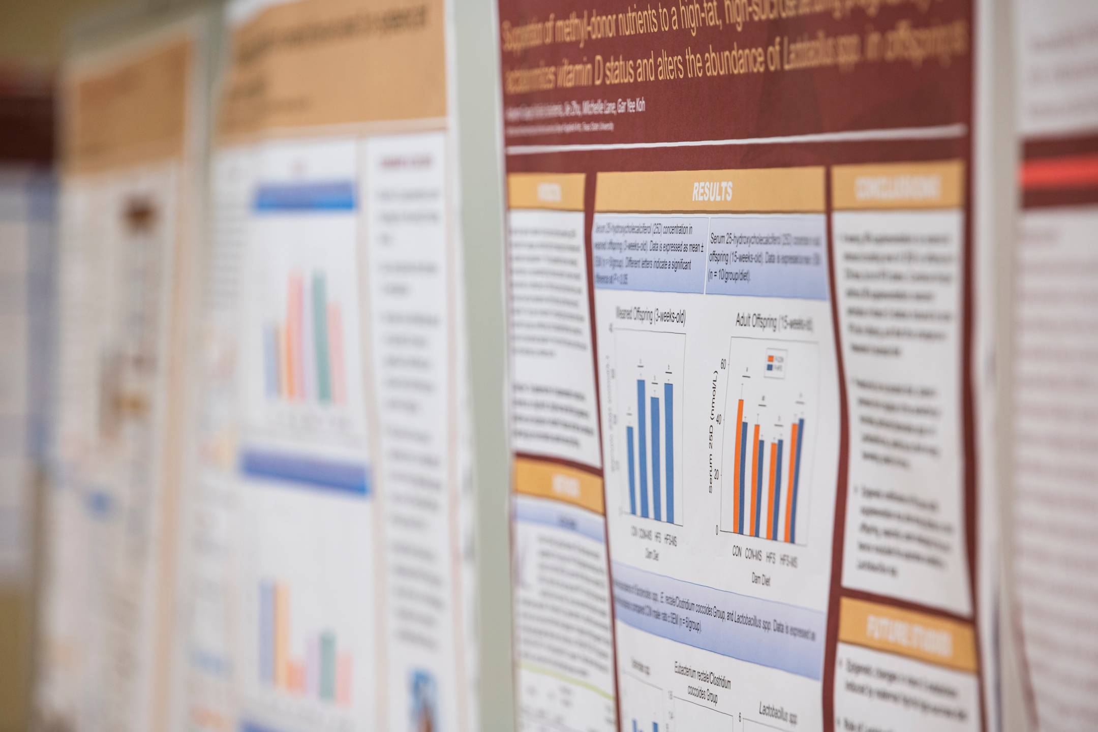 A research seminar happening in a classroom