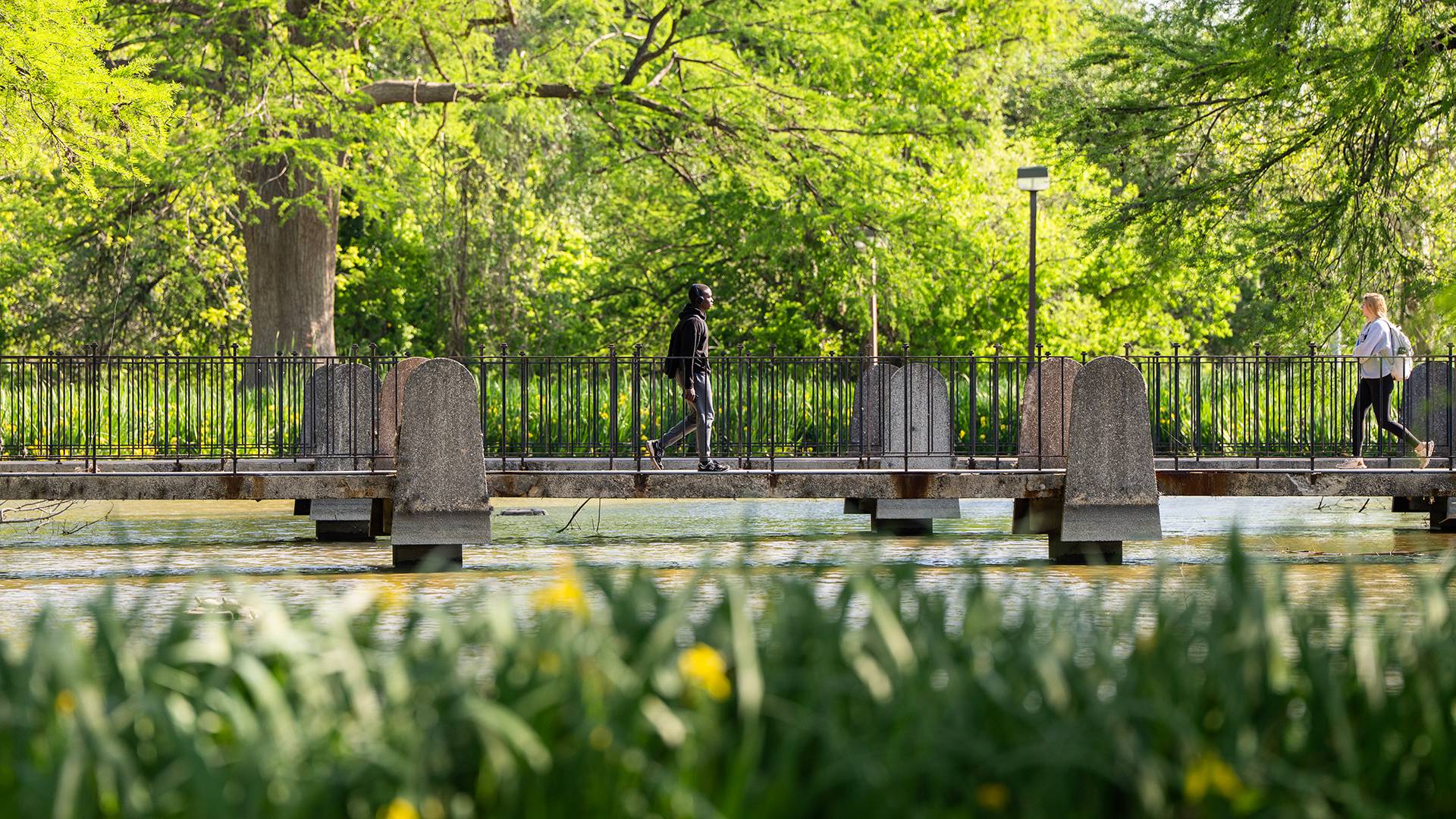 two people walking on a bridge above a pond