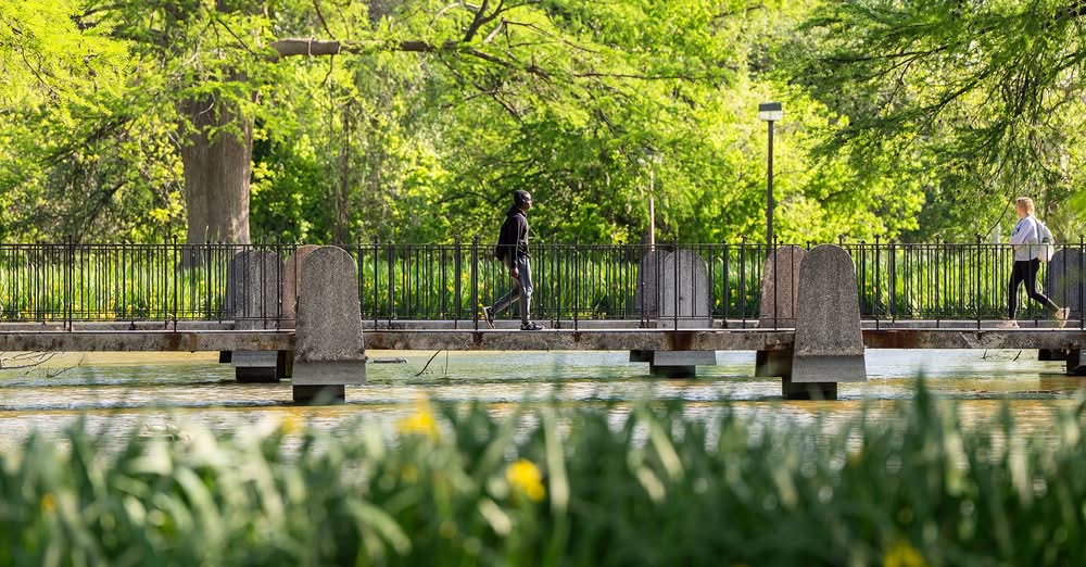 Texas State University's green walkways