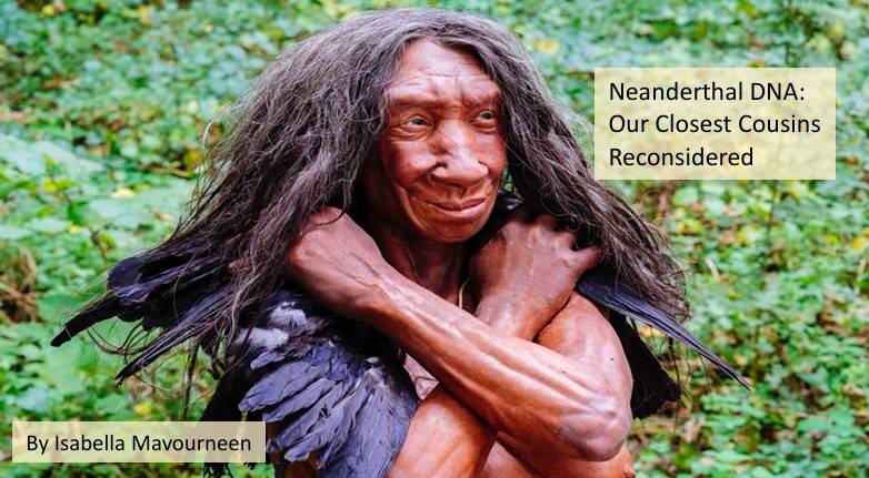 Neanderthal DNA article