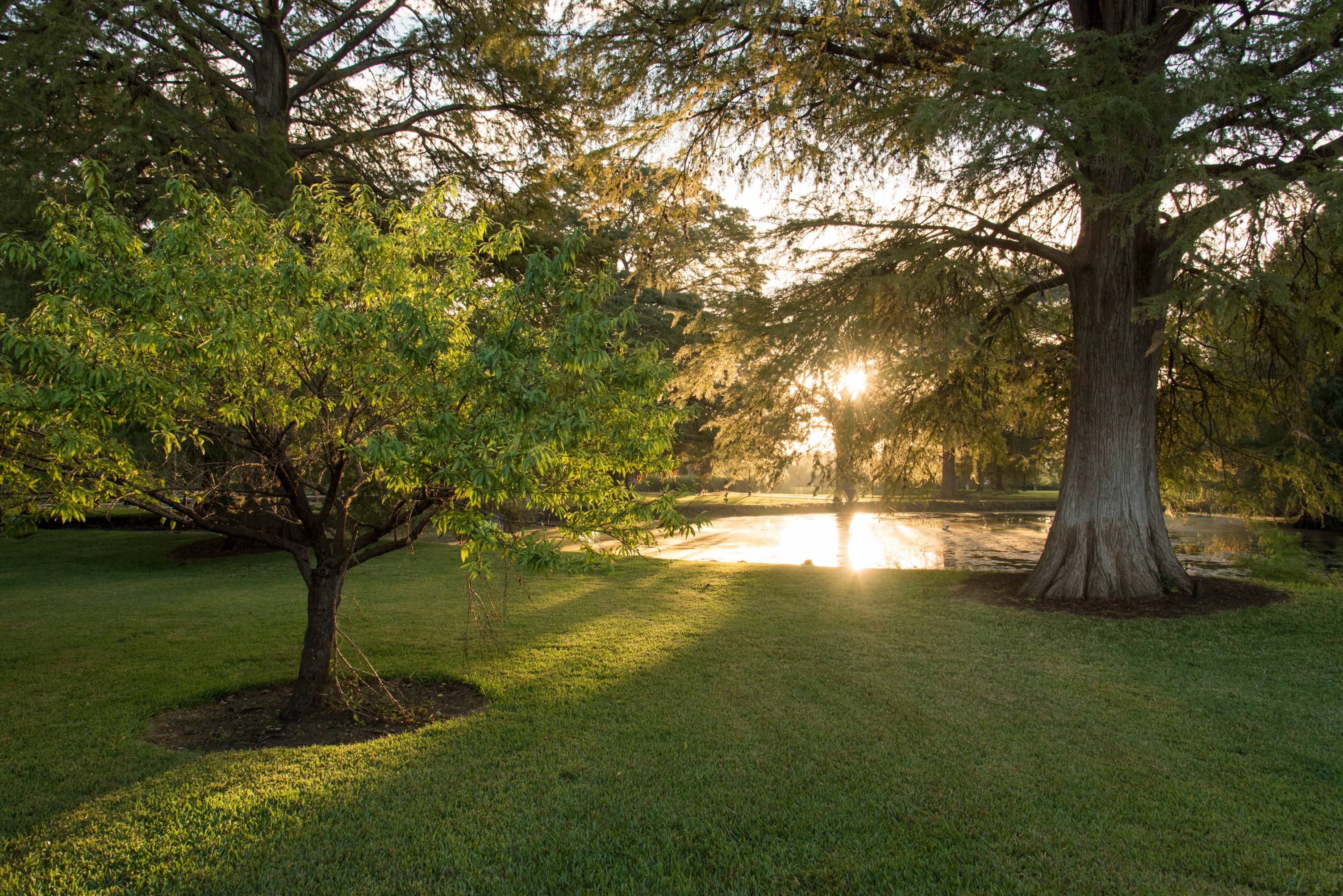 Safety and Mental Health Resources