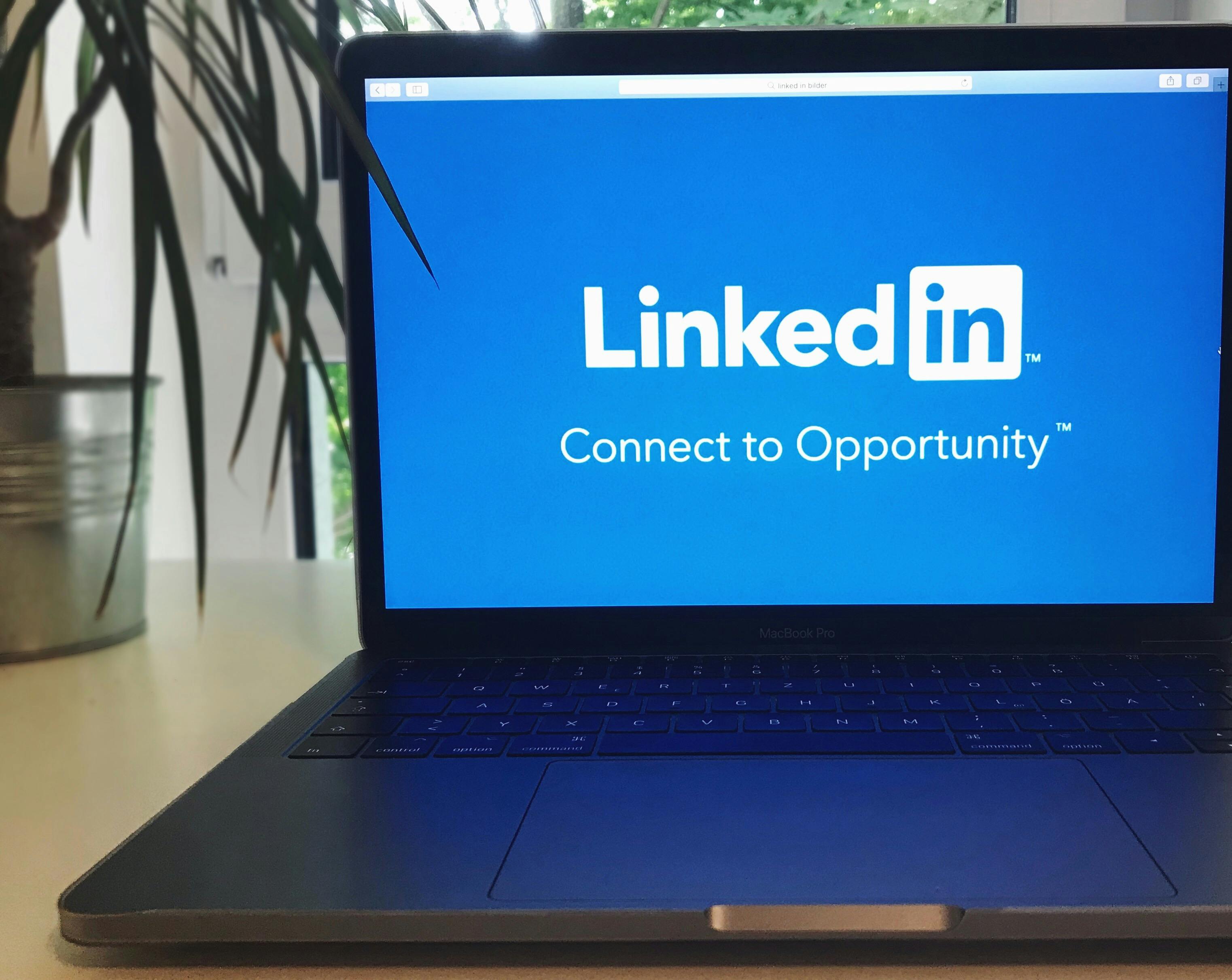LinkedIn Marketing Essentials for Your Business