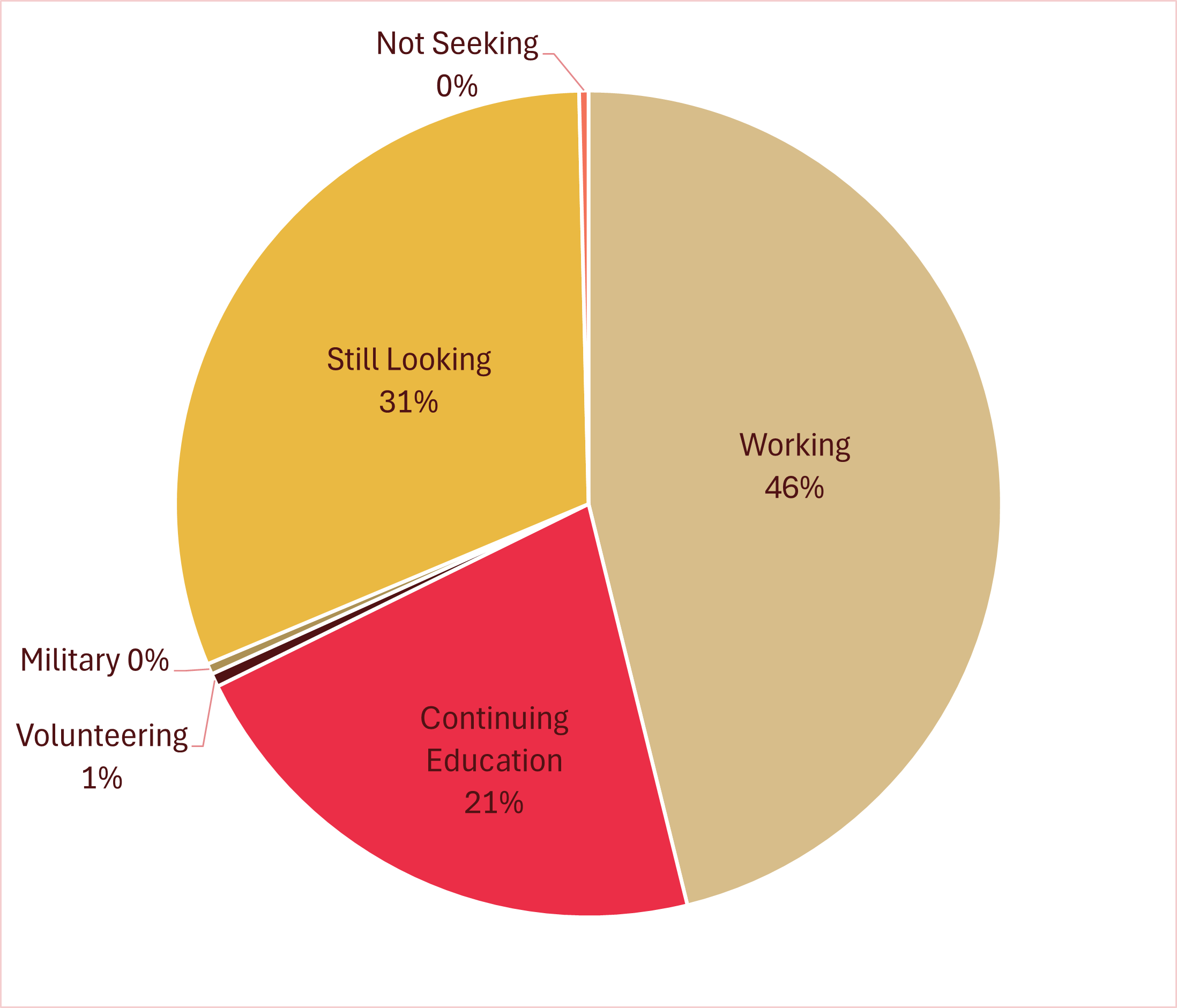 Bachelor level graduate outcomes for academic year 2025