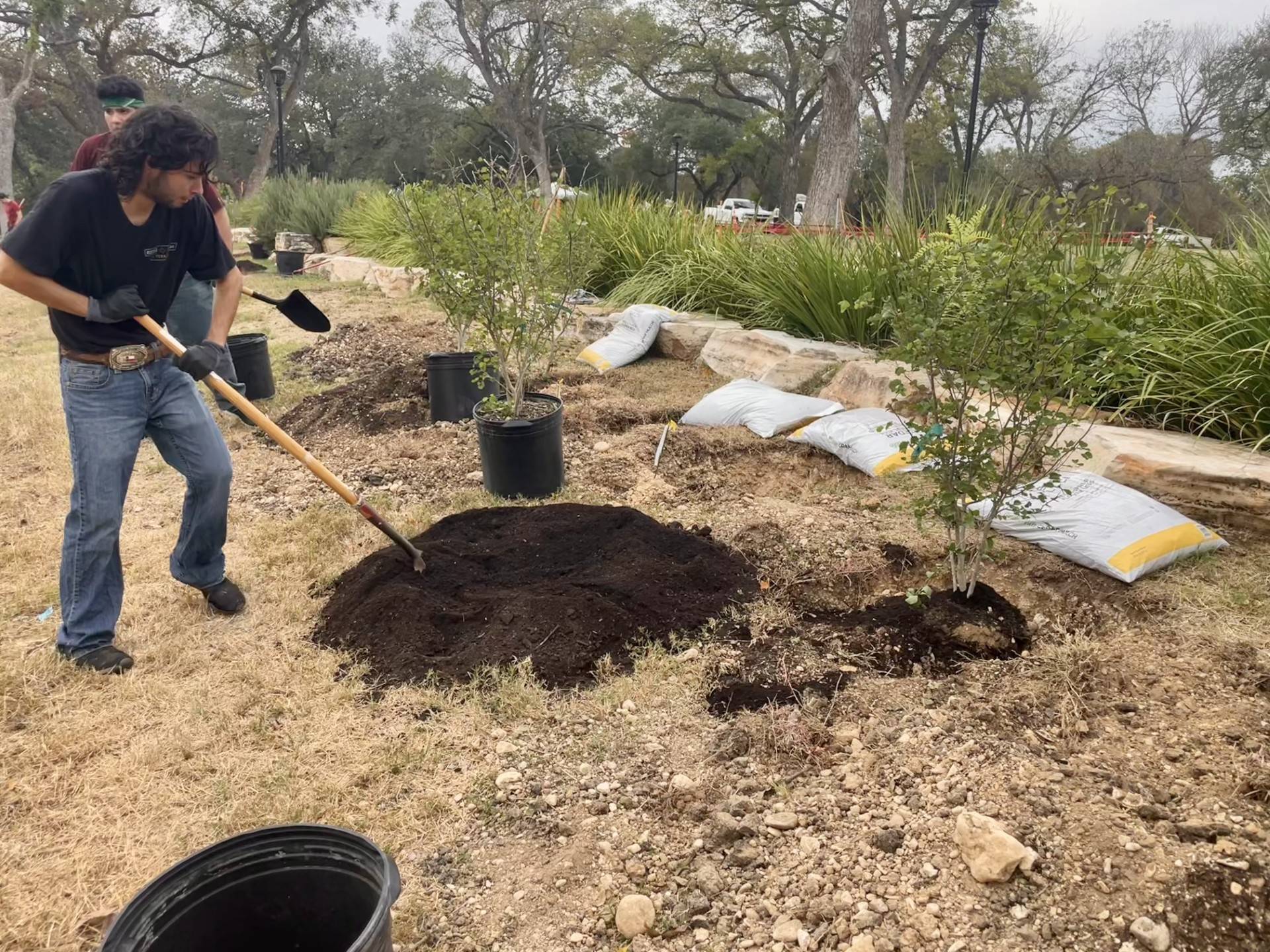 students planting trees