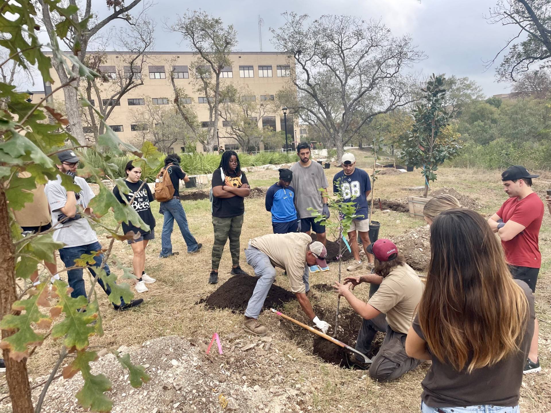 students plant trees