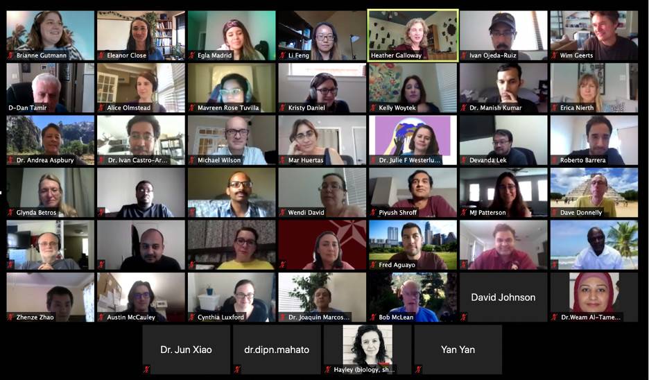 Virtual Summer Workshop Participant Screensho