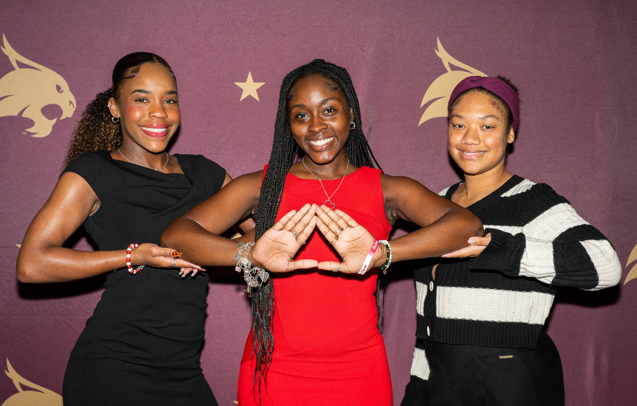 Delta Sigma Theta Sorority Inc.