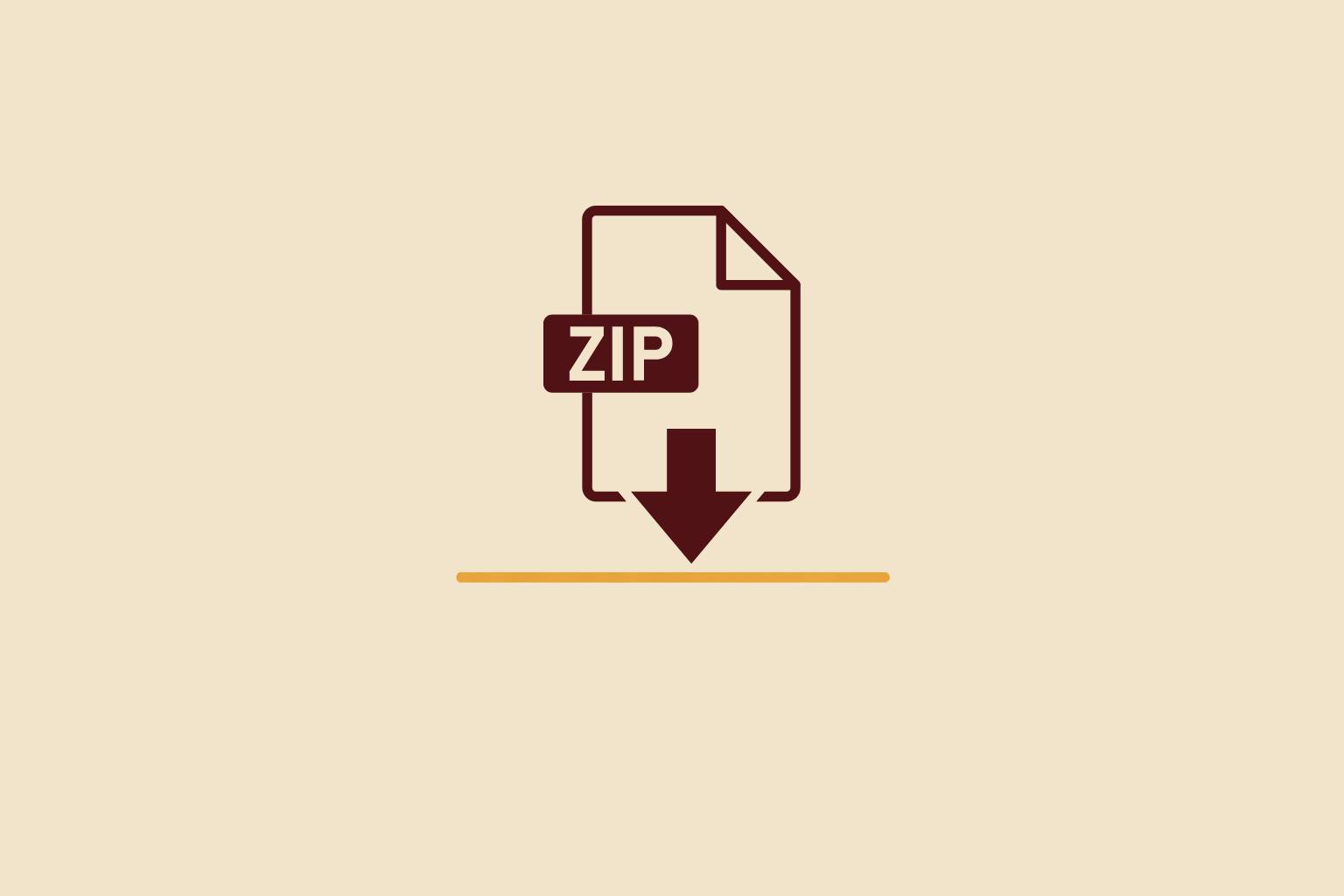 ZIP download icon