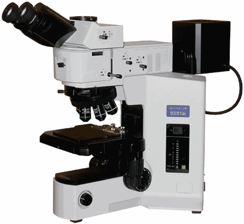 Optical Microscope