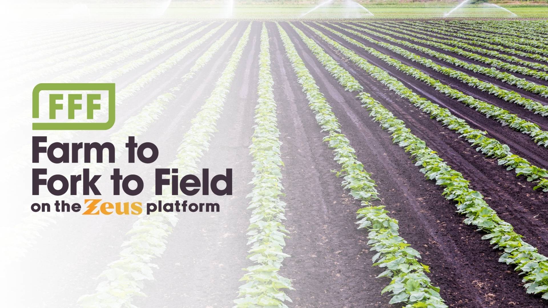 Farm to Fork to Field logo overlayed on a field of crops