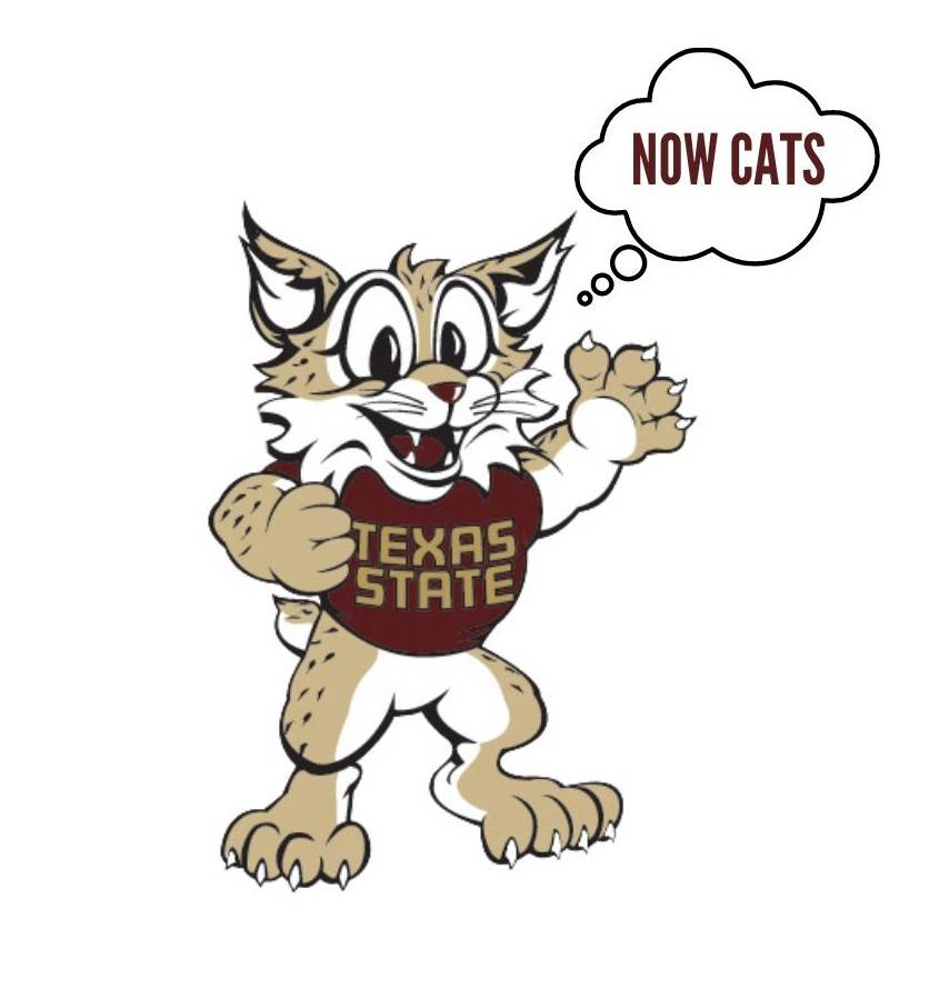 boko with thought bubble saying now cats