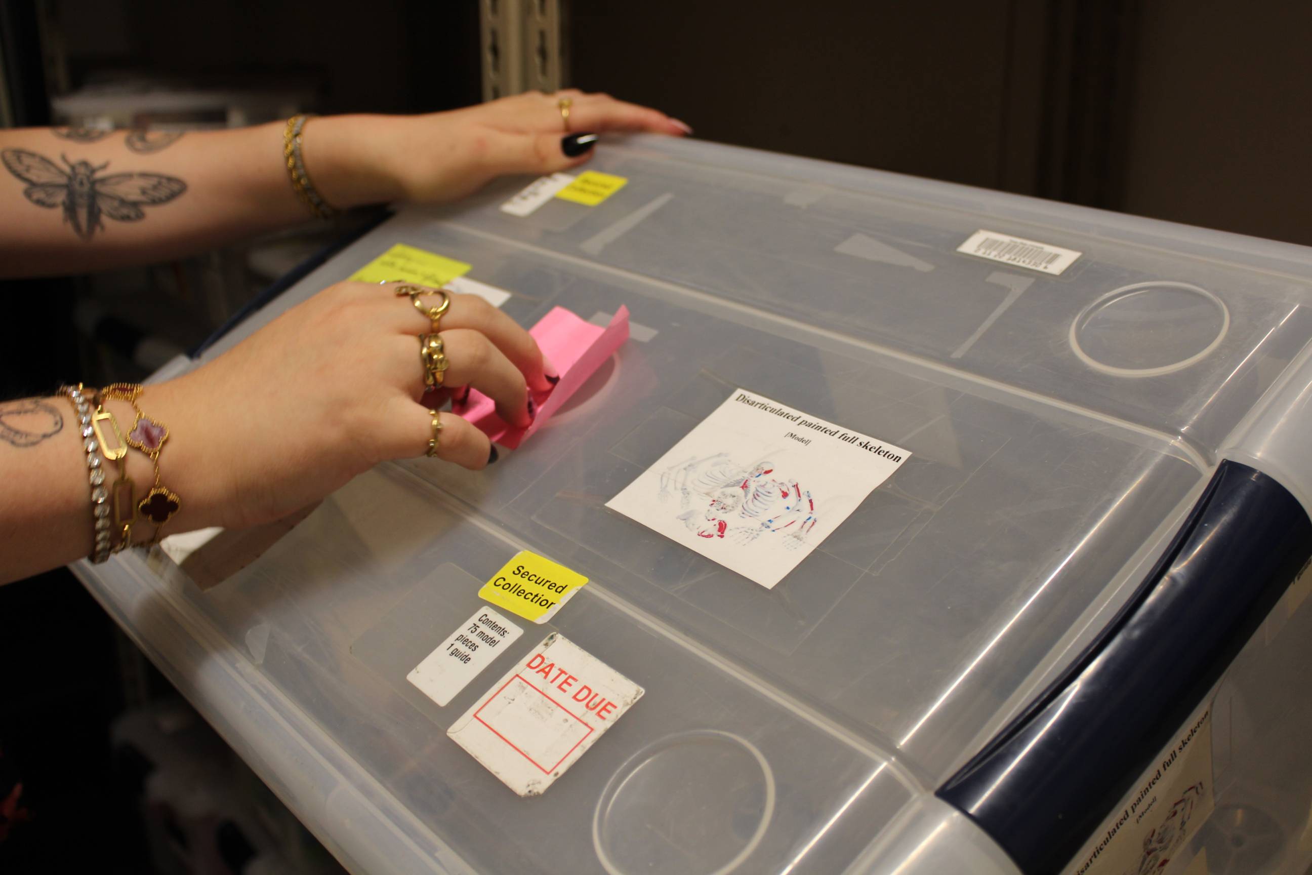 A storage box with bones.