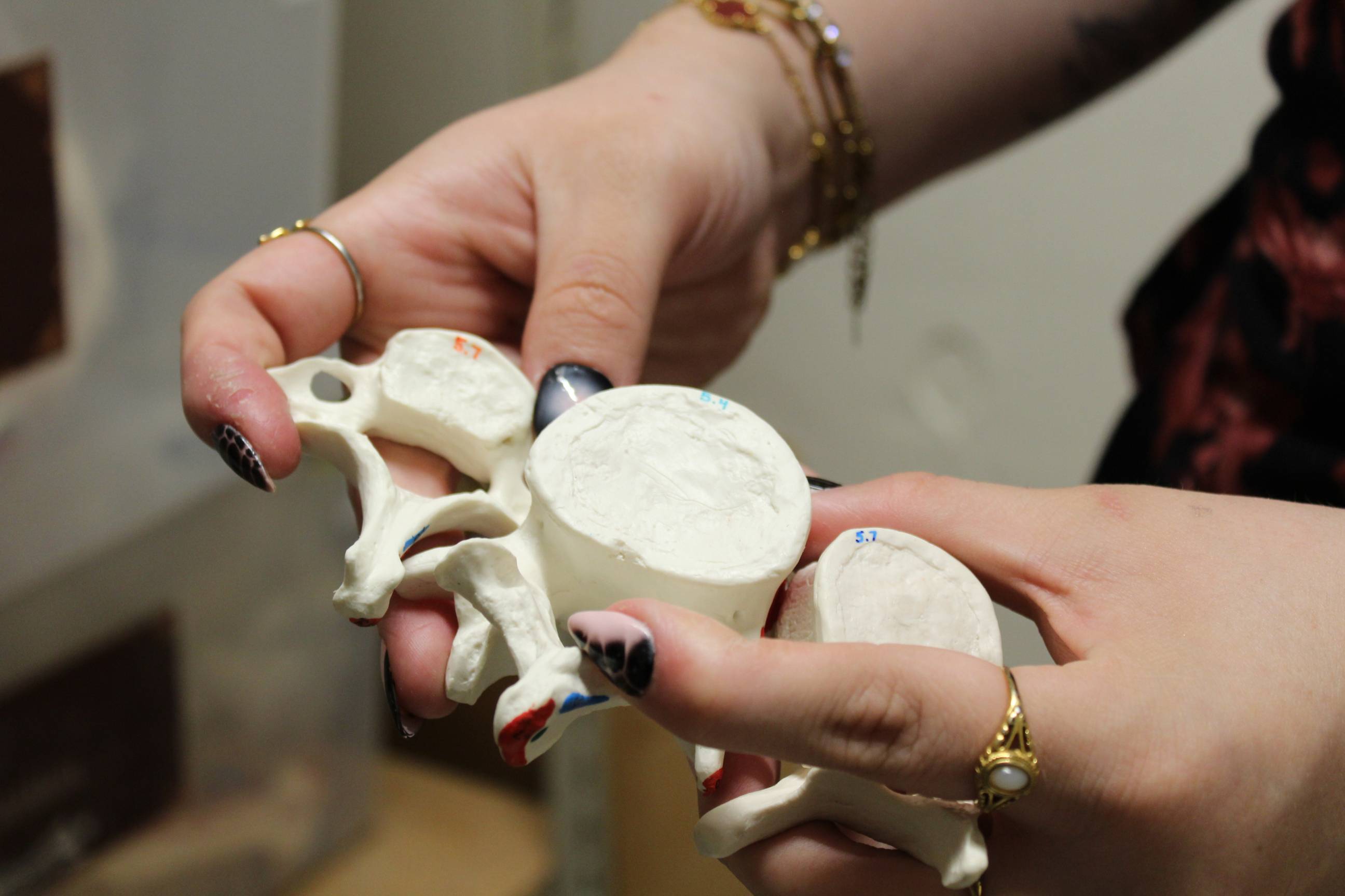 Garza holding the bone structures before they were cleaned out