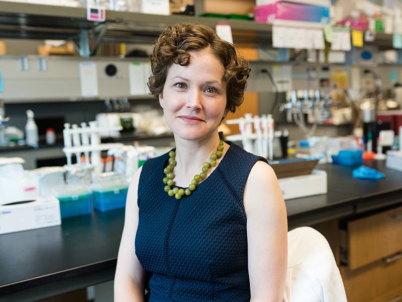 Dr. Jeanne Stachowiak