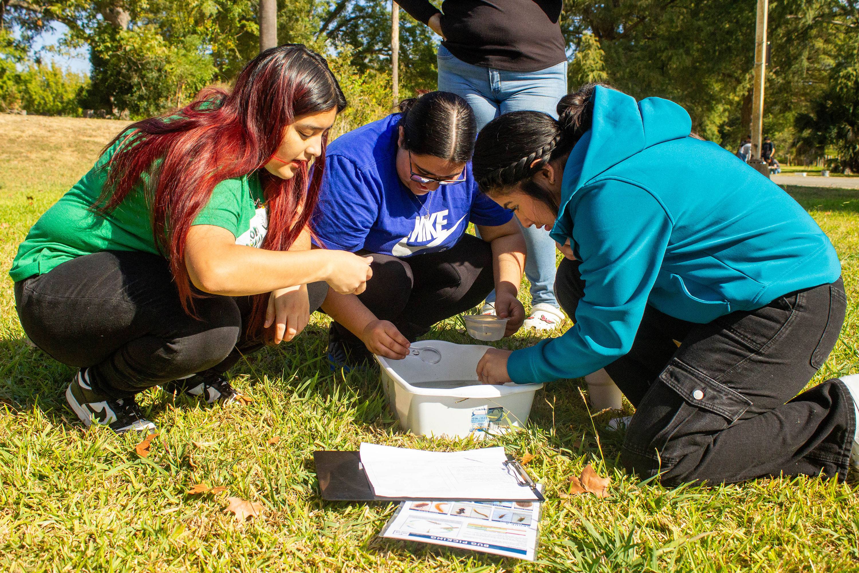 students look in plastic bin