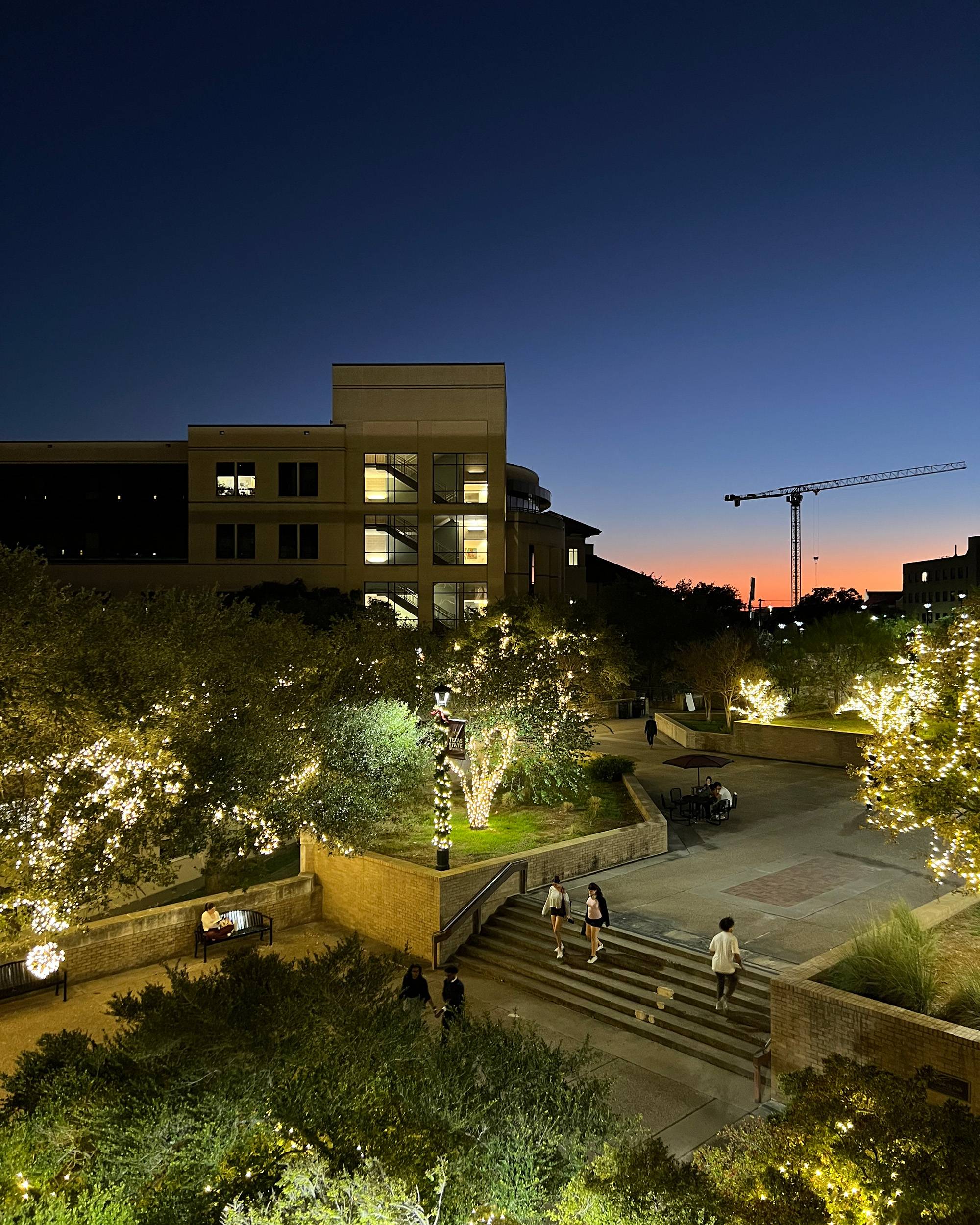 Holiday lights in trees at Texas State University campus at dusk