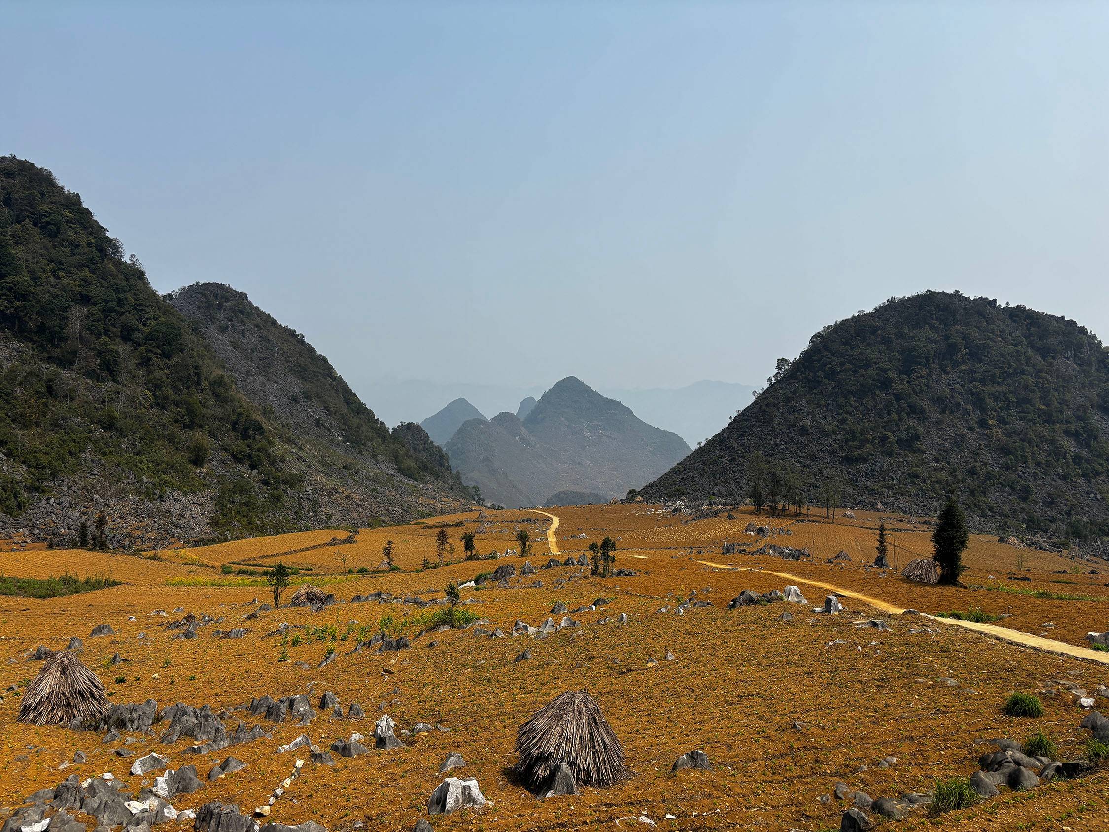 yellow landscape next to mountains in vietnam