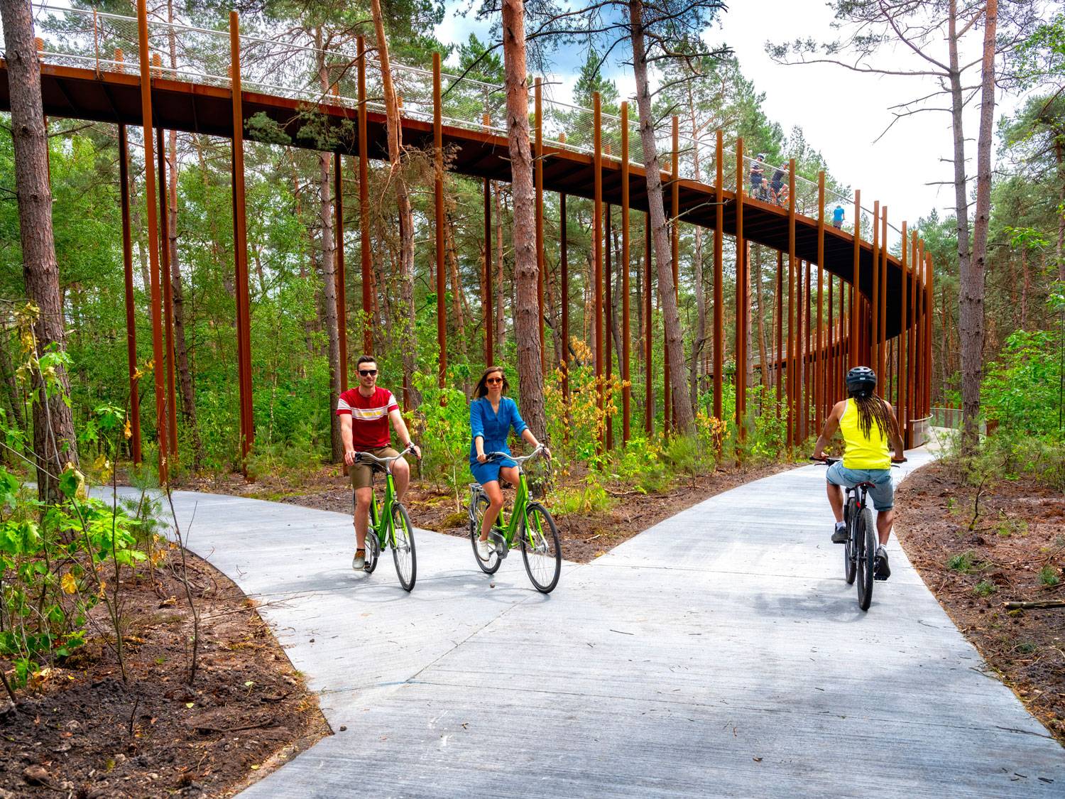digital rendering of three bicyclists on path in wooden area
