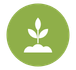 Plant Icon