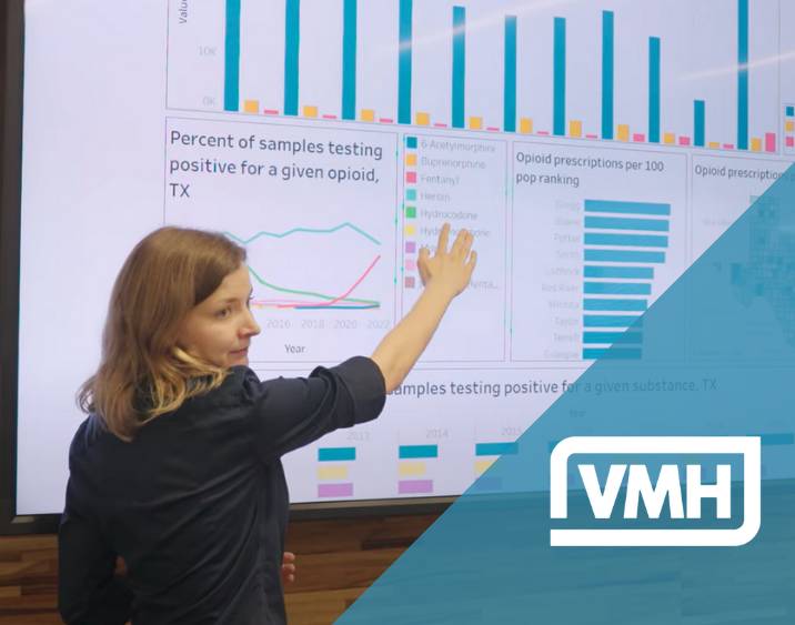 Visualizing Mental Health Logo overlayed on the image of a course instructor pointing to data on a large screen