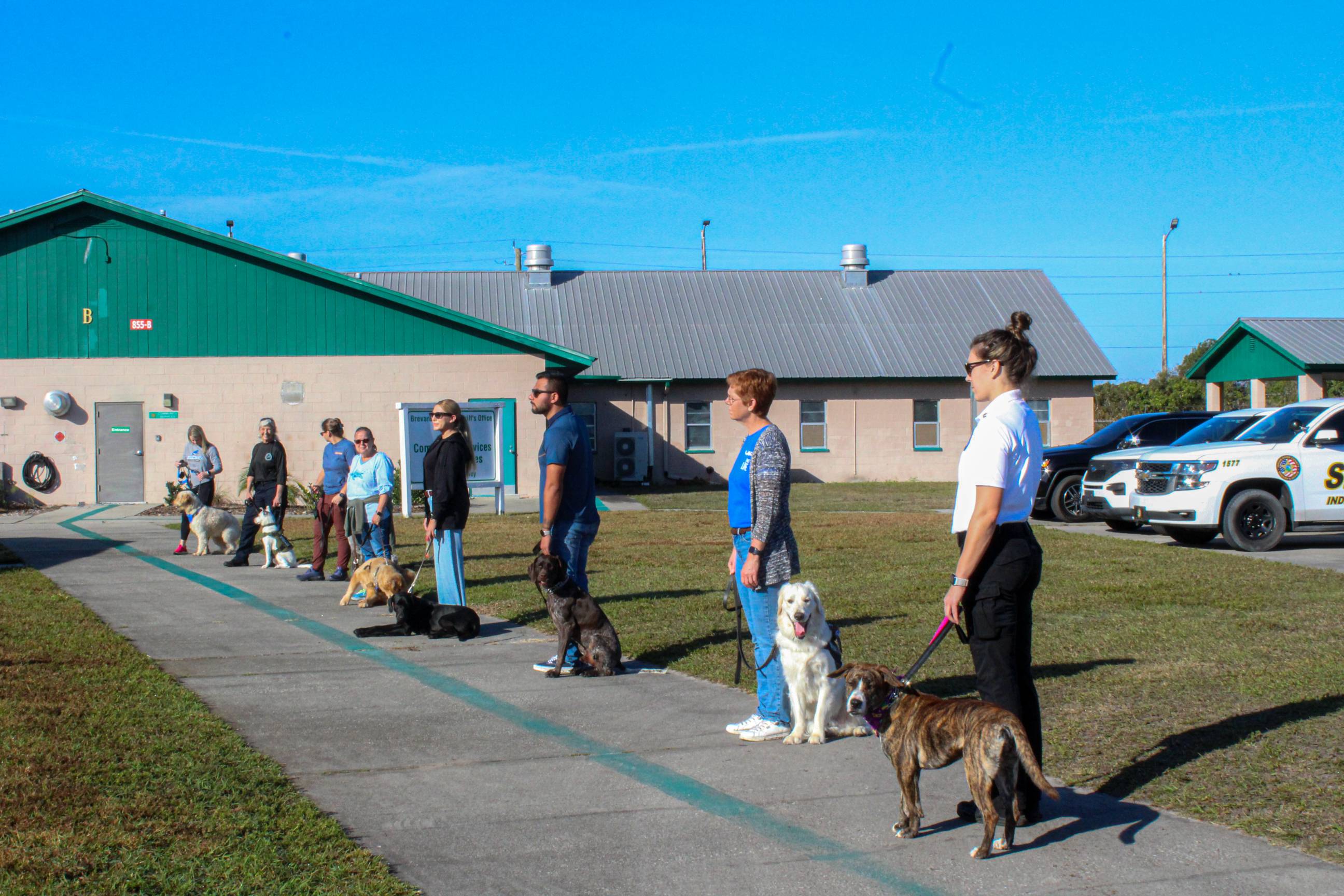 multiple people and dogs lined up on a concerete side walk during training exercises