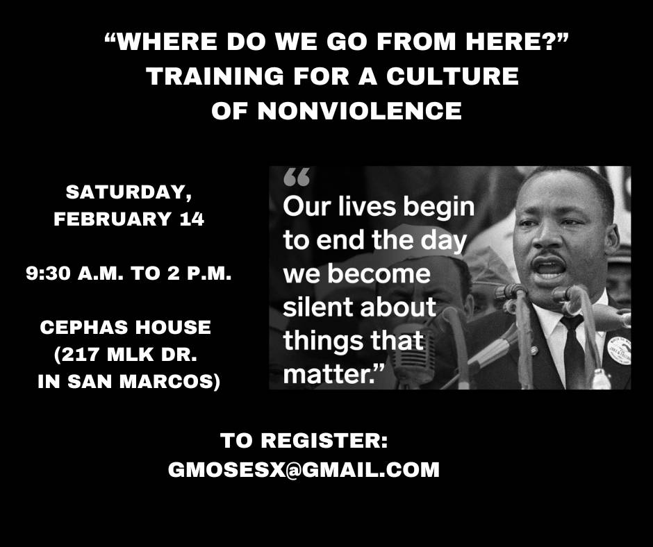 Where Do We Go From Here? Training for a Culture of Nonviolence&nbsp;